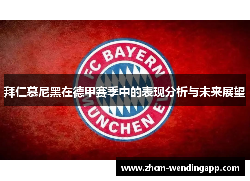 拜仁慕尼黑在德甲赛季中的表现分析与未来展望